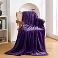 thumbnail image 2 of IR Imperial Rooms Fleece Bed Throw Blanket, Plush, Travel and Couch Fuzzy, Cozy Washable Ultrasoft Twin Size Purple, 2 of 6