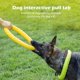 thumbnail image 3 of Juguete para masticar para perros brillar Indestructible Flotador EVA, 3 of 5