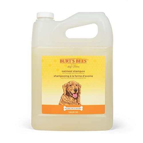 Burt's Bees for Dogs Natural Oatmeal Shampoo with Colloidal Oat Flour