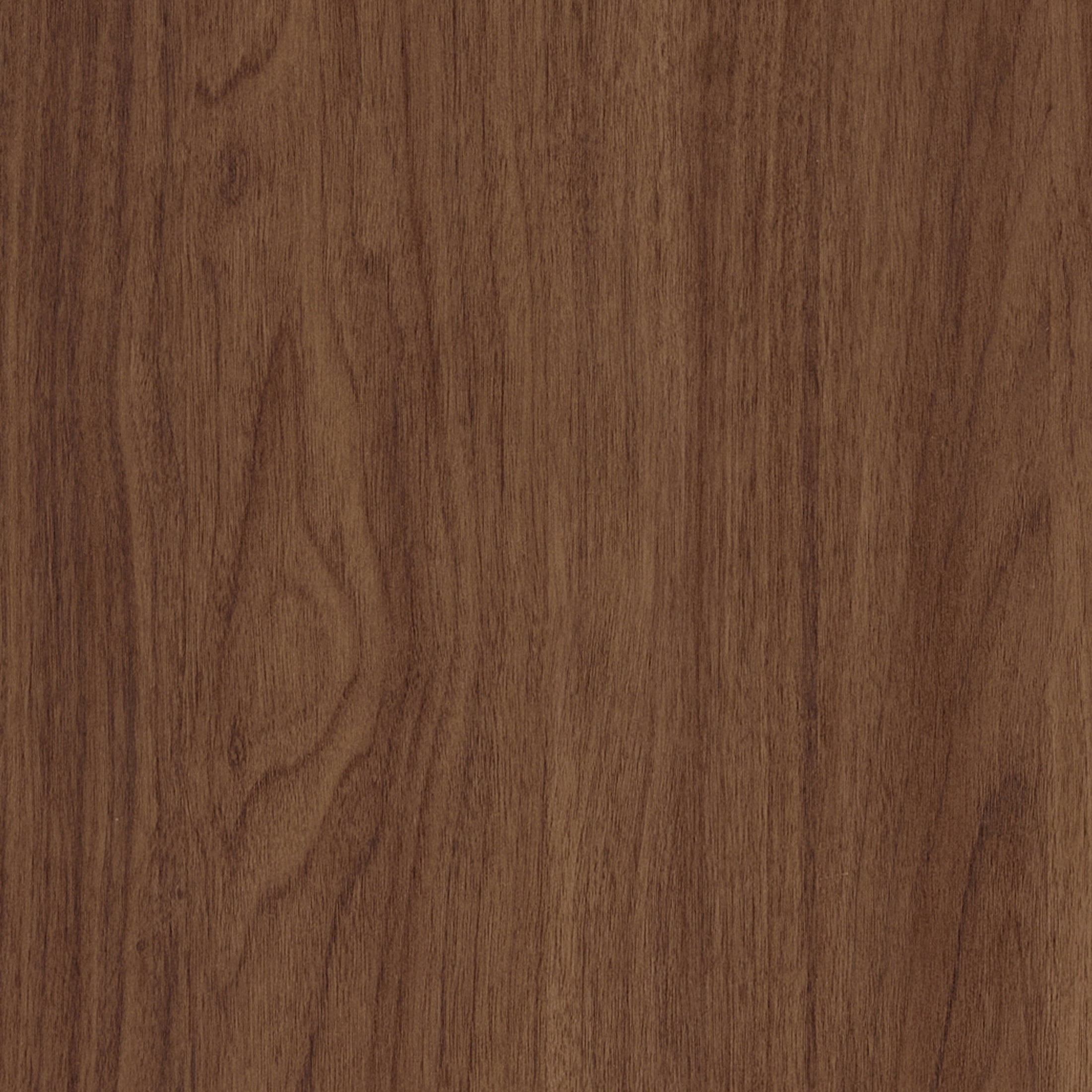 Evelyn&Zoe Modern/Contemporary 28" Wide Satin Walnut Accent Cabinet
