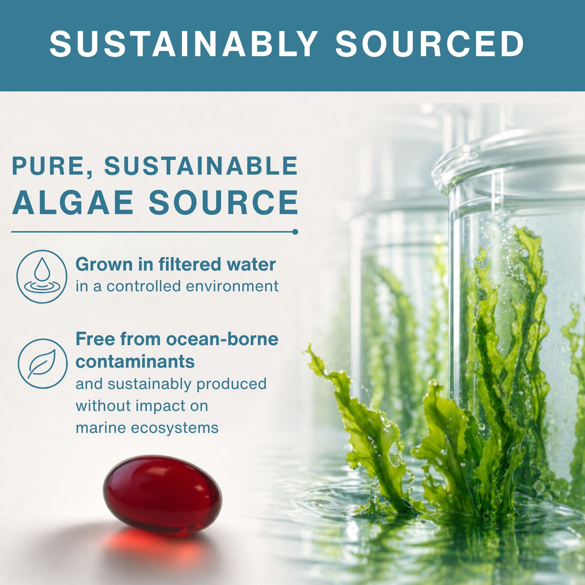 Igennus Vegan Omega-3 Algae Oil, IAOS Certified Pure, 400mg DHA & 200mg EPA per Serving, 90 Servings, Triglyceride Form, Supports Brain & Heart Health, with Astaxanthin, 180 Small Softgels