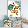 thumbnail image 2 of Designart 'Ancient Fruits II' Farmhouse Framed Canvas Wall Art Print, 2 of 5