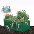 thumbnail image 4 of Bolsa de cultivo En P, 4 of 5