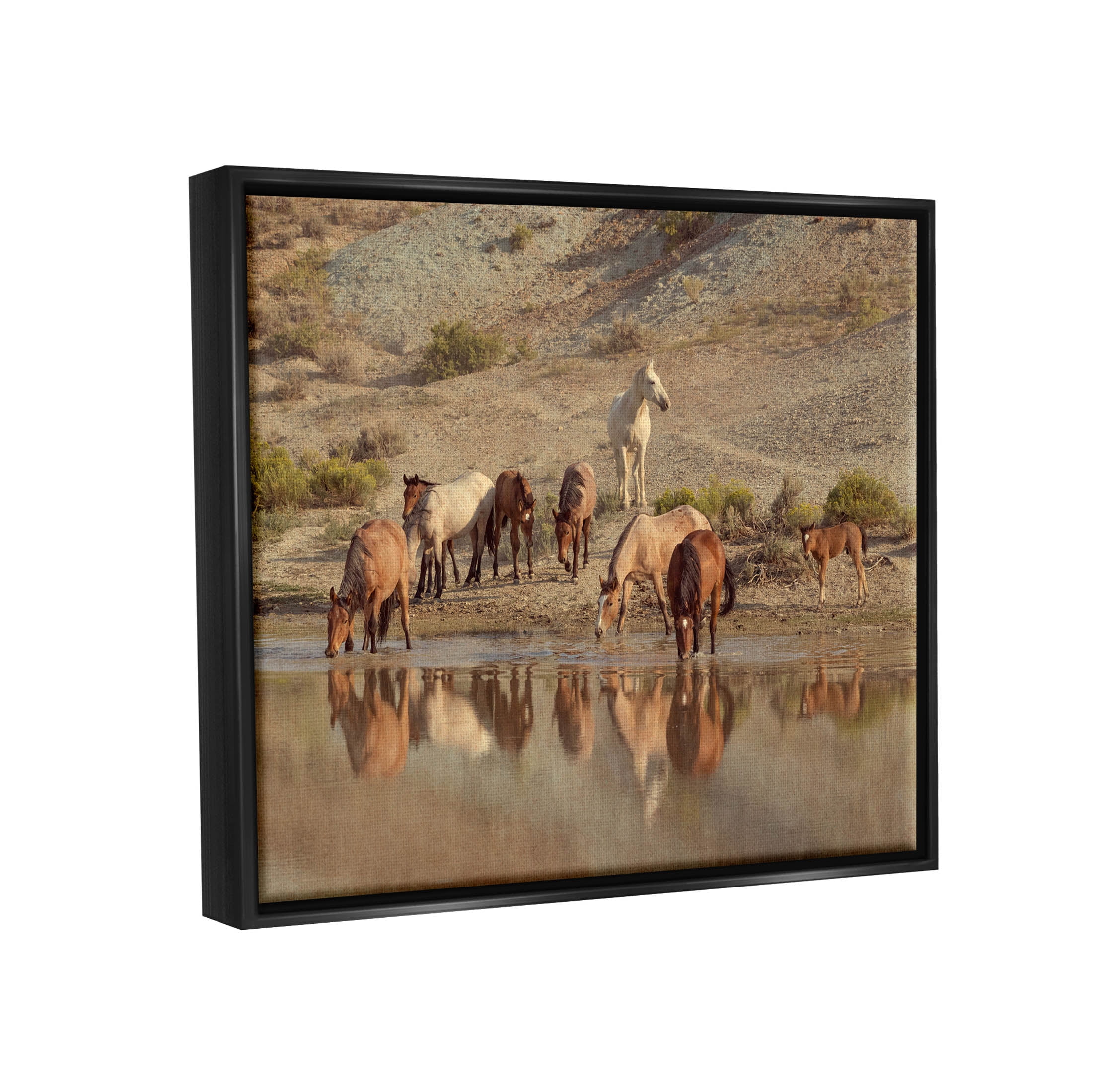 Stupell Industries Horses Drinking Countryside Photograph Jet Black Floating Framed Canvas Print Wall Art, Design by Jan Walters