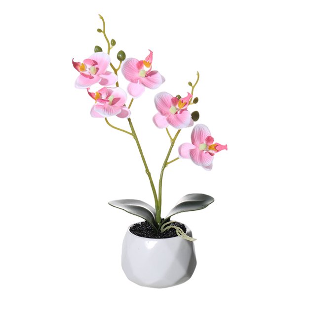 Billuyoard Planta artificial Reemplazo decorativo Color sólido Simulación Realista Hogar Hotel Oficina Fotografía Maceta falsa Decoración Rosa Billuyoard HA084188-01