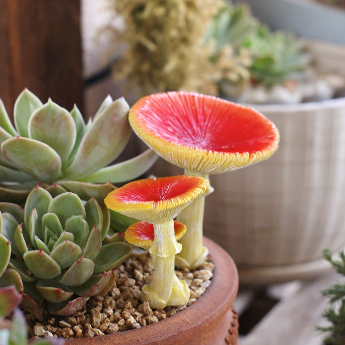 Resin Mushroom Statue Decor for Indoor and Outdoor Decoration, Bird, Small Animal, Insect Water Bowl Feeder for Garden, Backyard, Balcony (Mushroom)