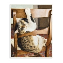 Stupell Industries Country Cat Lounging Wooden Chair Still Life Design by Sueellen Ross