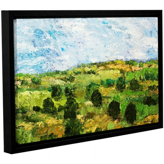 ArtWall Allan Friedlander "Just Roll Along" Gallery-wrapped Floater-framed Canvas