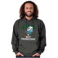 thumbnail image 4 of Smurfs Endzone not Friendzone Funny Hoodie Hooded Sweatshirt Men Brisco Brands 3X, 4 of 6