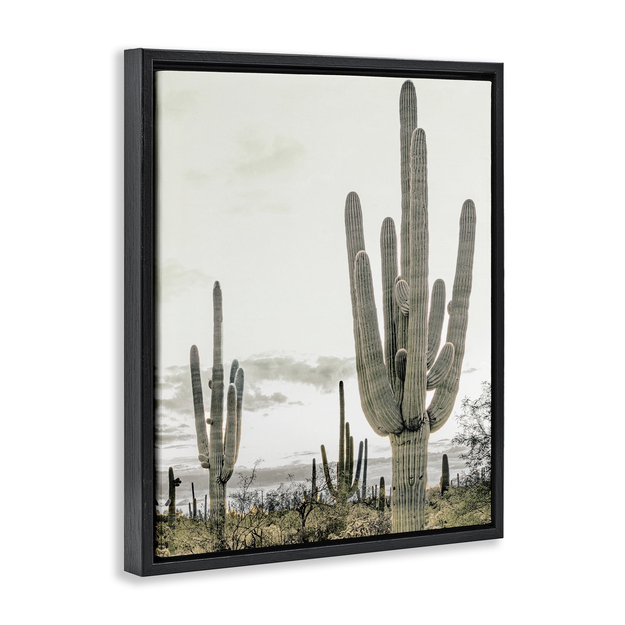 Stupell Industries Subdued Desert Cacti Black Framed Floater Canvas Wall Art, design by Kim Allen