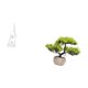 thumbnail image 5 of Figura De Bonsái De Llama De Resina Abstracta, Escultura Moderna, Artesanía Para Patio, Oficina, Estantería, Planta Artificial, Adorno De Vegetación, Centro De Mesa., 5 of 8