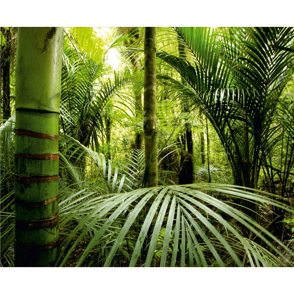 Papier Peint Vert Forêt Tropicale Non Tissé Papier Peint Fait en EUROPE pour Salon Chambre Familiale, 11'10"(h) x 8'10"(v) (360x270 cm)