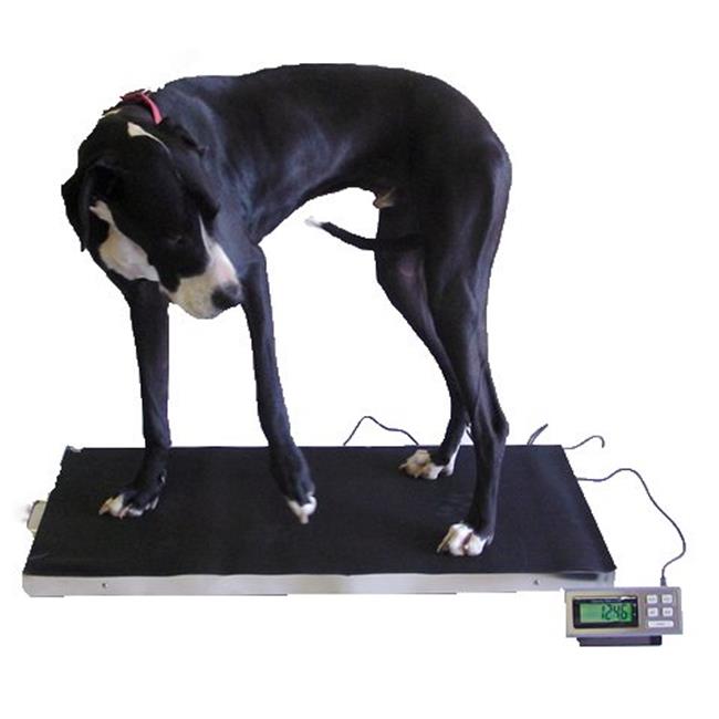 Extra Large Veterinary Scale, 700 x 0.2 lbs