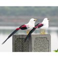 thumbnail image 3 of Pack De 4 Figurillas De Pájaros Emplumados Artificiales, Estatua De Animales De Aves Para Decoración Interior Y Exterior Cola Figuras de pájaros al aire libre, 3 of 8