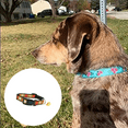 thumbnail image 4 of Summer Scent Floral Dog Collars, Flower Print Nylon Dog Collar, Cute Puppy Collar for, 4 of 6