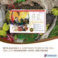 thumbnail image 2 of Suplemento dietético Umeken Beta Glucan, suministro para 1 mes, 30 unidades, 2 of 6