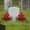Red, variant on Memorial Day Artificial Roses, Patriotic Striped Florals, Classic Cemetery Flowers, Elegant Memorabilia Blooms for Veterans, Independence Day, Memorial Ceremony, Home Indoor Decor,Z2#Red*1+Blue*1