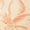 Beige, variant on INSPIRE CHIC Women's Lace Front Zipper Closure Wireless Bra Push Up Full Coverage Lightly Padded Lingerie S Beige