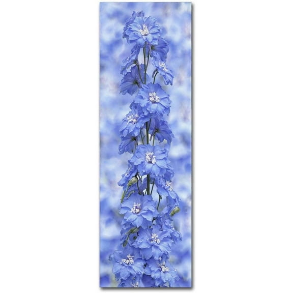Trademark Fine Art Cora Niele Blue Larkspur Canvas Wall Art - 10x32