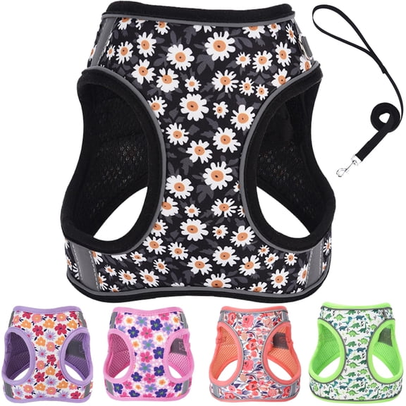 XXS Dog Harness and Leash Set, Step in Dog Harness No Pull for Walking Running Training, Puppy Essentials for Dogs Cat Bunny, Adjustable Reflective Dog Vest Harness.