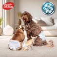 thumbnail image 3 of Disposable Male Wraps, Absorbent Leak Proof Belly Bands for Dogs, Incontinence Aid, Puppy Training, Marking Control, and Travel Protection, Medium Dogs, 15–23 Inch Waist, 30 Count, 3 of 6