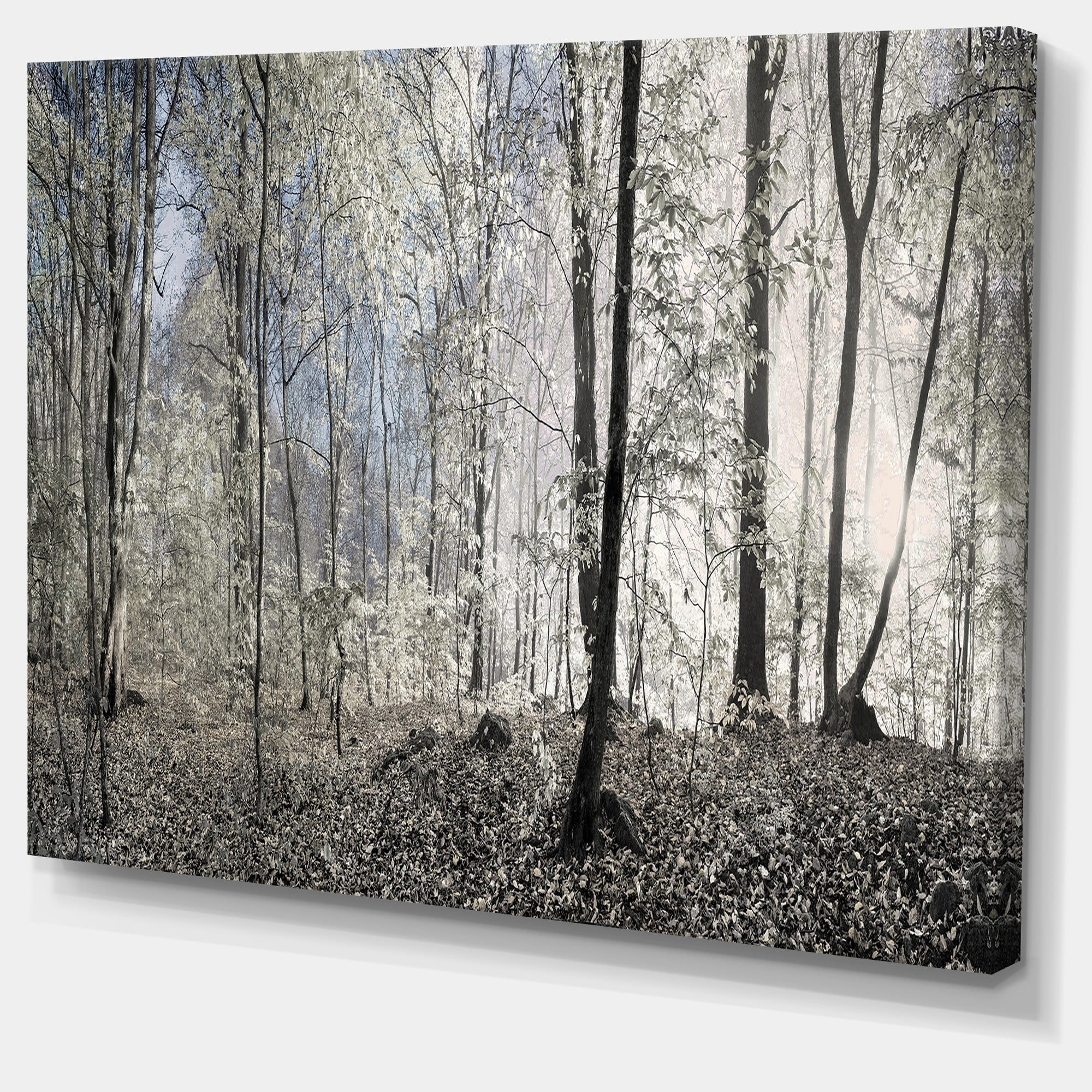 Designart 'Dark Morning in Forest Panorama ' Landscape Canvas Art Print