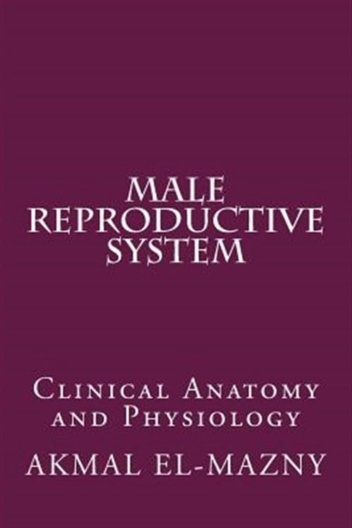 Pre-Owned Male Reproductive System : Clinical Anatomy and Physiology ...