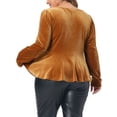 thumbnail image 3 of Agnes Orinda Women's Plus Size Velvet Sweetheart Neck Elegant Peplum Blouse 2X Brown, 3 of 6