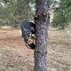 thumbnail image 5 of Decoraciones acero Peek-A-Boo volteando el signo metal Peeping Animal Wall Art Ornament (3), 5 of 8