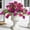 C-light Purple Dark Purple, variant on Artificial Flowers A-rose Red White Outdoor Indoor Decor