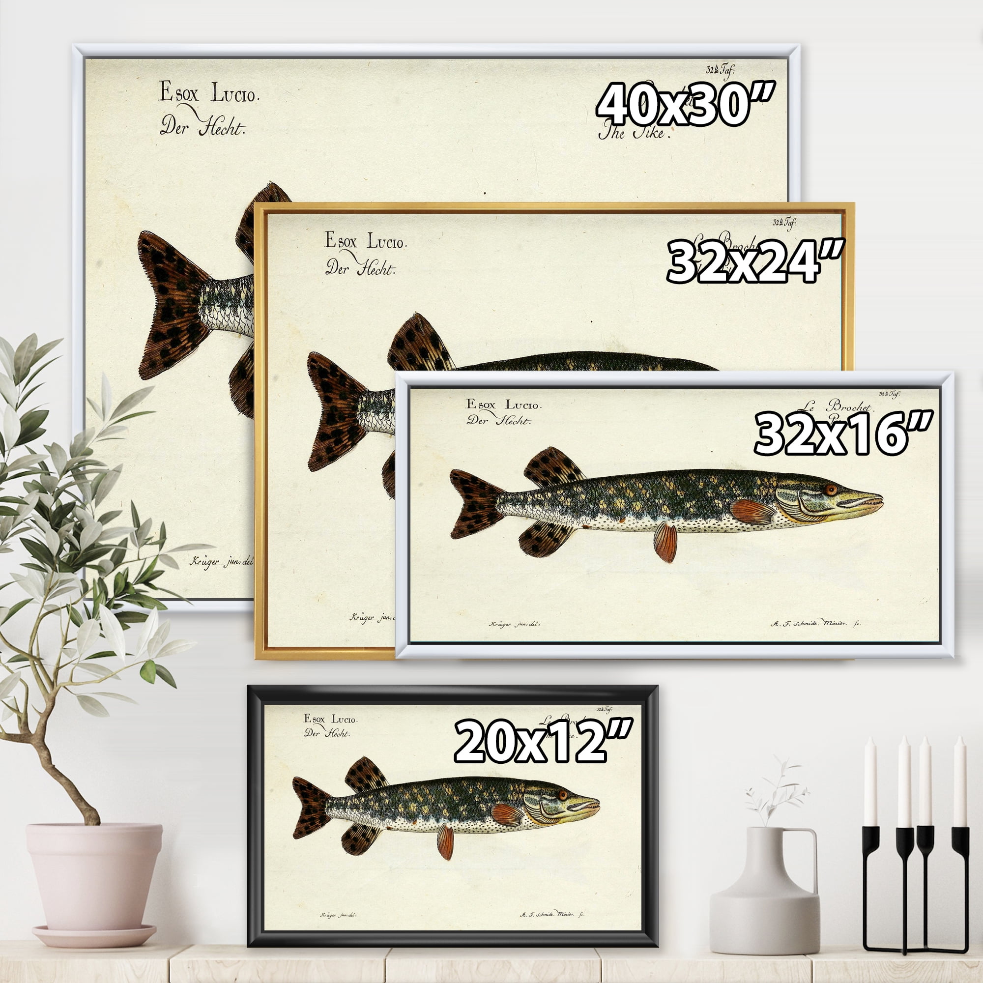 Designart 'Portrait Of A Green Fish On Beige' Nautical & Coastal Framed Canvas Wall Art Print