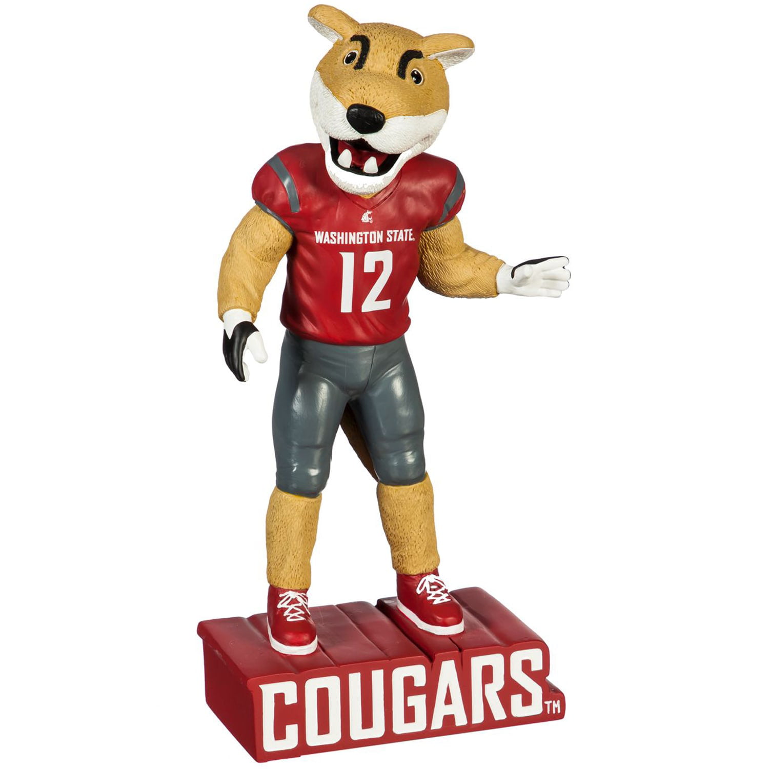 Large NCAA Washington State Cougars Classic Football Pet Bowl Mat 
