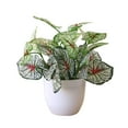 thumbnail image 3 of Visland 10.2” Artificial Bonsai in Green Grass Plastic Pot, 3 of 5