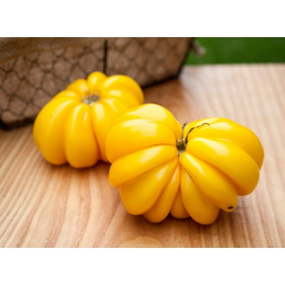 Yellow Ruffles Pleated Stuffing Heirloom Tomato Premium Seeds Packet