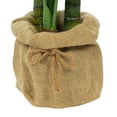 thumbnail image 2 of Artificial Palm Plant in Planter (Set of 2), 2 of 8