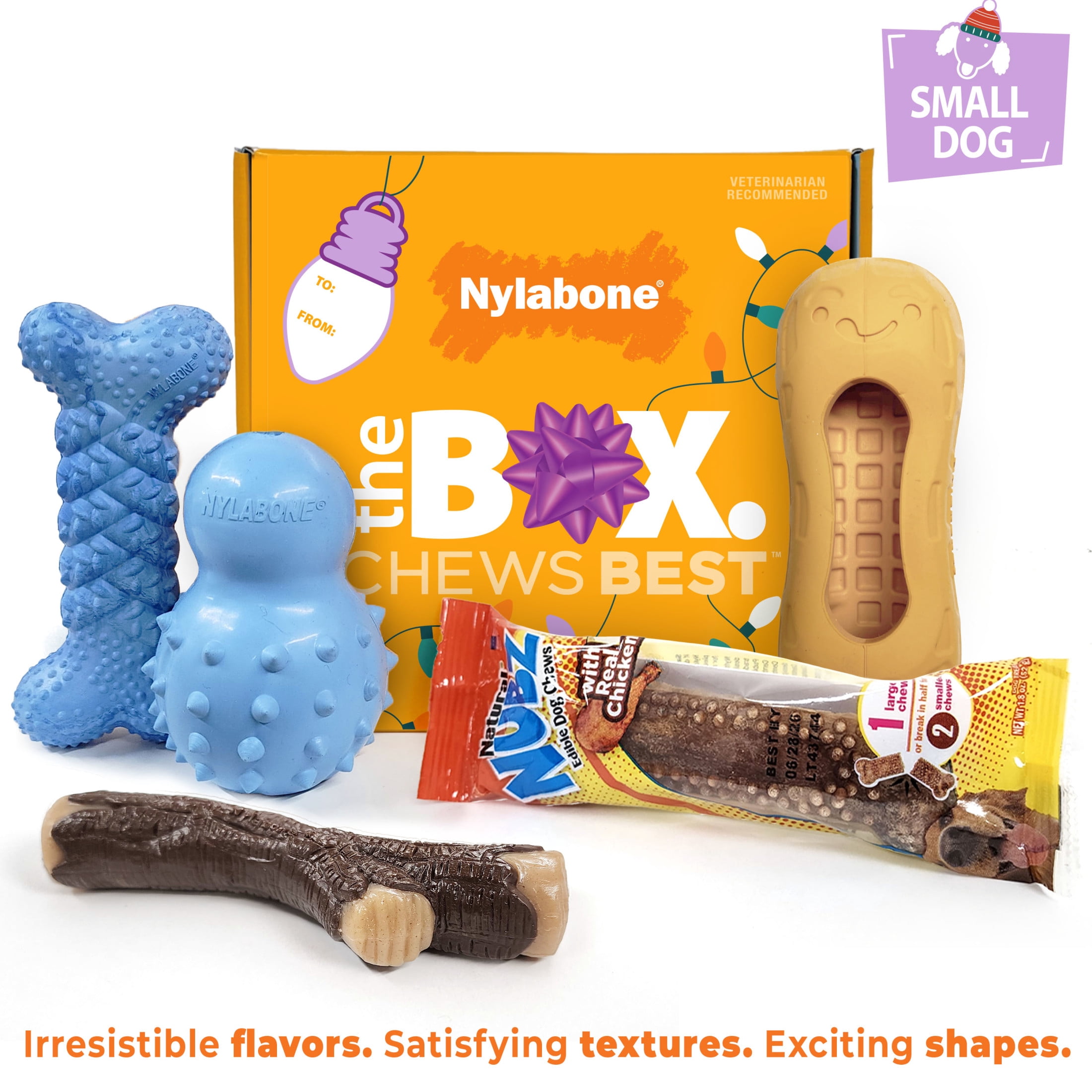Nylabone Strong Chew Holiday Box - Small Chew Toys & Treat Gift Box Small (5 Count)