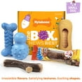 thumbnail image 4 of Nylabone Strong Chew Holiday Box - Small Chew Toys & Treat Gift Box Small (5 Count), 4 of 12