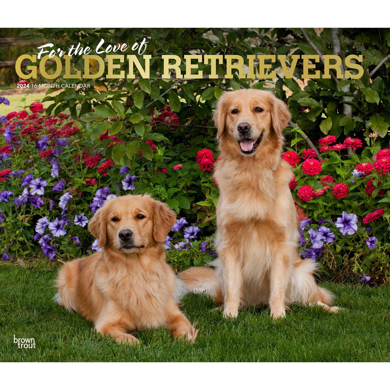 BrownTrout For the Love of Golden Retrievers 2024 14x24 Inch Deluxe Wall Calendar, 9781975468590
