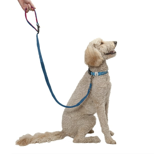 FurHaven Pet Leash EasyTether Reflective Bungee Dog Leash, Classic