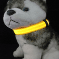 thumbnail image 4 of Collar luminoso LED recargable para perros, collar luminoso reflectante ajustable, 4 of 6