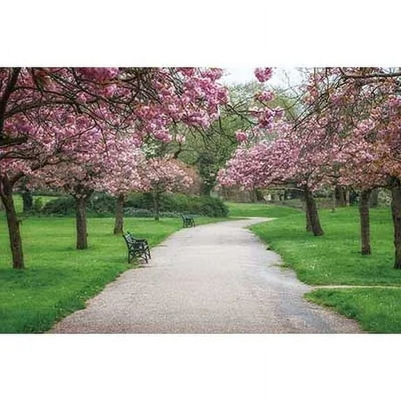 Rural Landscape Photography Backdrop Tree Flower Gre Grass Photocall Background Childr Photo Studio Photoz Props