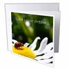Inspirational Ladybug 12 Greeting Cards with envelopes gc-23636-2