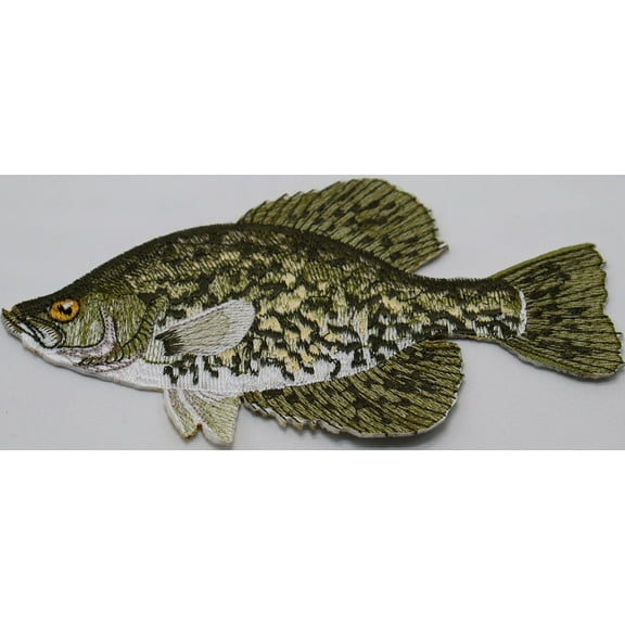 Crappie fish Embroidered Iron On/Sew patch [6" x 5"]