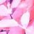 Berry Pink Watercolor Floral