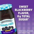 thumbnail image 5 of Smucker's Sugar Free Seedless Blackberry Jam, 12.75 oz, 5 of 12