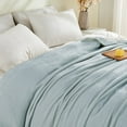 thumbnail image 4 of Gogreen Cozy Flannel Blanket Printed -King Size Bed Blanket for Home Decoration - Ultra Soft, Lightweight, Microfiber Throws (King - 108" x 90", Light Blue), 4 of 9