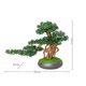 thumbnail image 2 of Simulación de árbol de bonsái artificial, plantas falsas, decoración de bonsái, planta verde falsa de 13 pulgadas, maceta interior for sala de estar, decoración del hogar, 2 of 4
