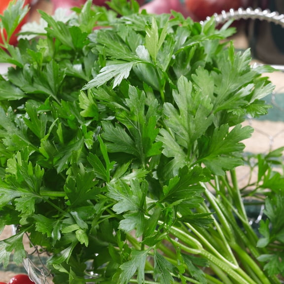 Organic Plain Parsley Seeds - 1 g Packet ~643 Seeds - Non-GMO, Certified Organic, Heirloom - Growing Microgreens, Herb Garden - Petroselinum crispum