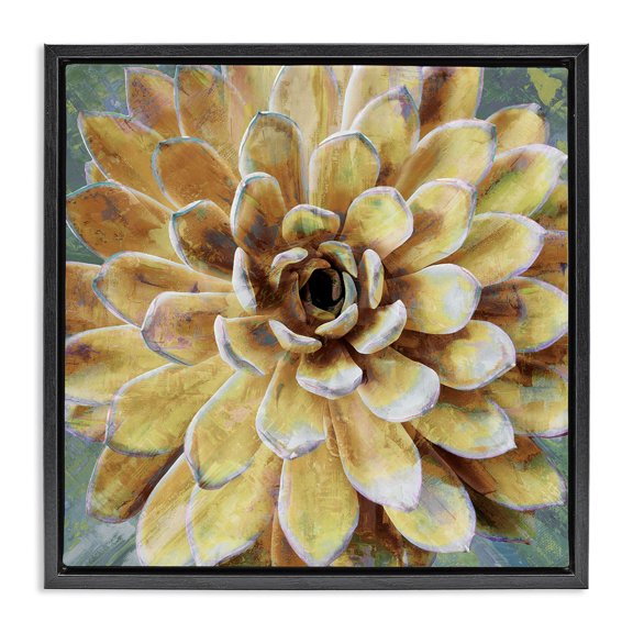 Stupell Industries Contemporary Yellow Botanical Succulent Bloom Black Floating Frame Canvas Art, 18 x 18, by Lindsay Benson