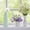 Blue, variant on Watering Cans - Candy Colored Garden Sprayer with Hand Pressed Design for Precise Watering of Flowers and in Home Garden